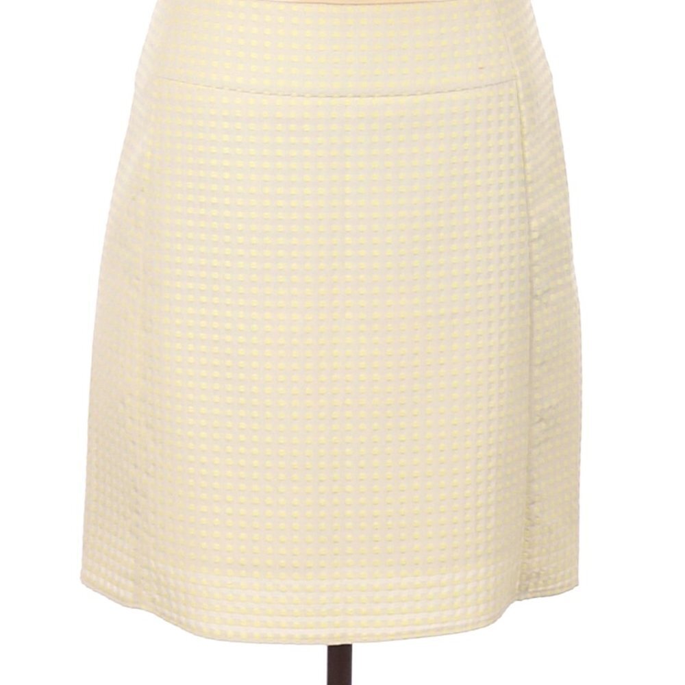 Ann Taylor LOFT Skirt